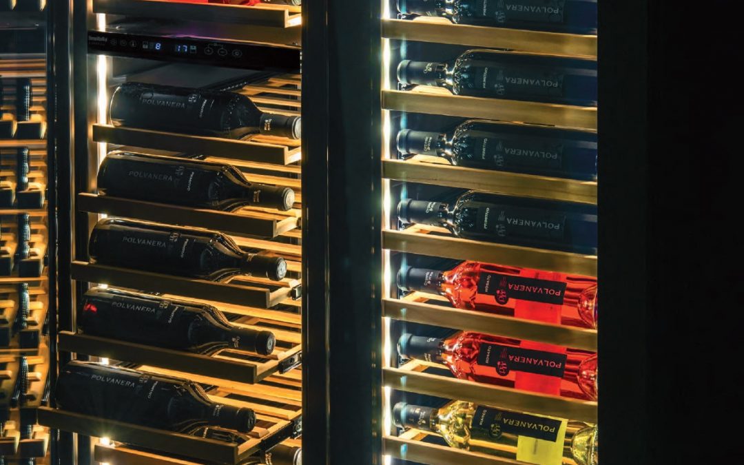 Vetrine Refrigerate per Vino Professionali